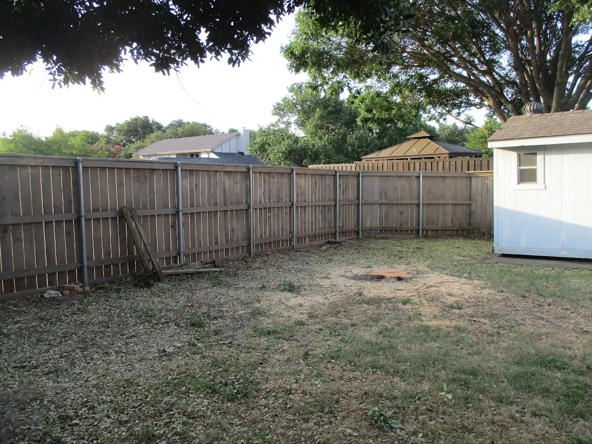 Cleared yard after professional tree removal in Harker Heights